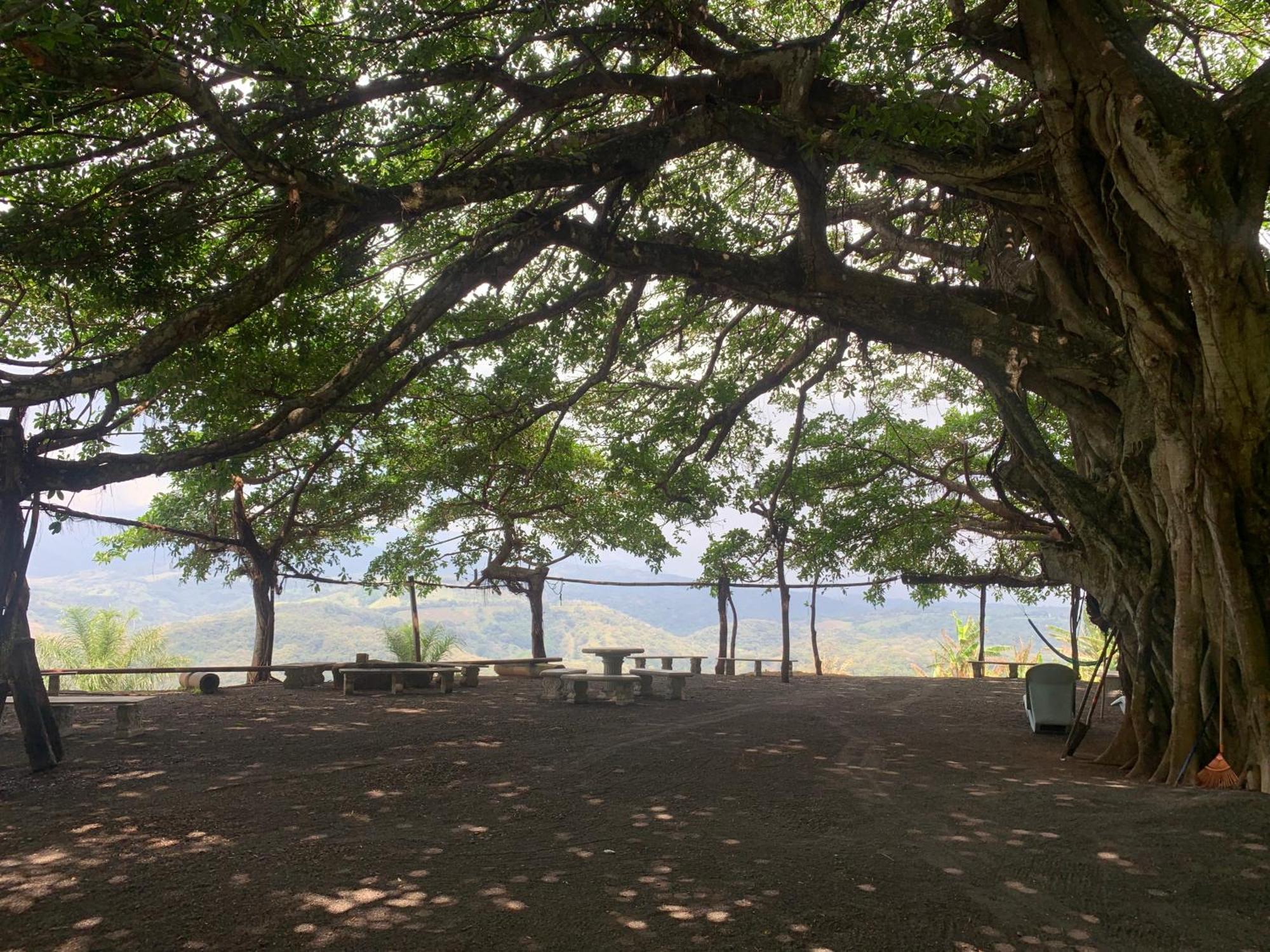 Disfruta Del Contacto Con La Naturaleza Apartment Puntarenas Exterior photo